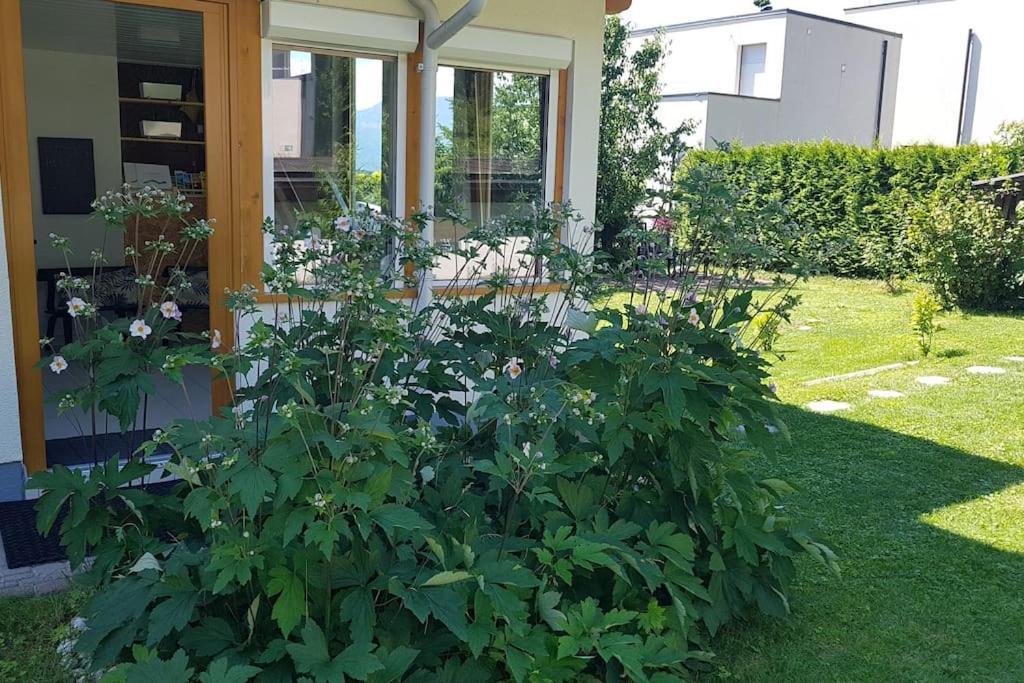 Wohnung Mit Balkon In Velden - Appartment Berge Bytilly Velden am Wörthersee Exteriér fotografie